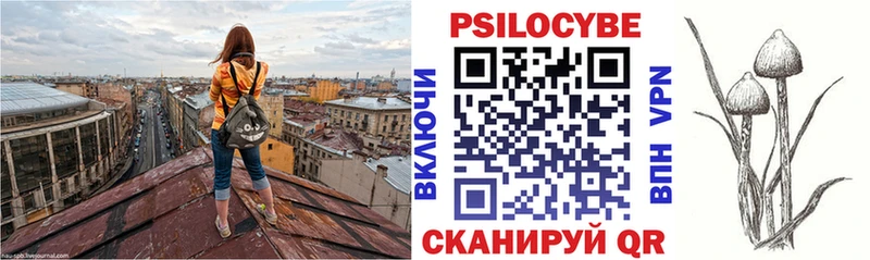 где найти наркотики Змеиногорск Галлюциногенные грибы прущие грибы